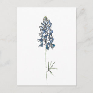 Bluebonnet Briefkaart