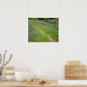 Bluebonnet Country Road Poster (Keuken)