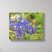 Bluebonnet en Bee fotocanvas Canvas Afdruk (Voorkant)