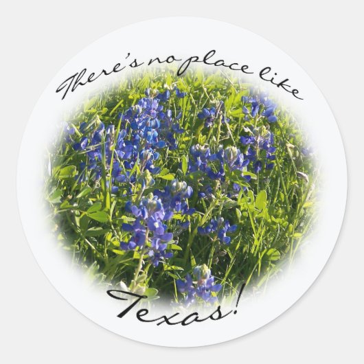 Bluebonnet: "Er is geen plek zoals Texas." Sticker (Voorkant)