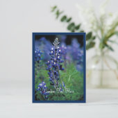 Bluebonnet Field Blue Flower, staat Texas Briefkaart (Staand voorkant)