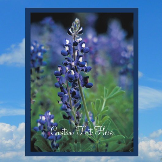 Bluebonnet Field Blue Flower, staat Texas Briefkaart