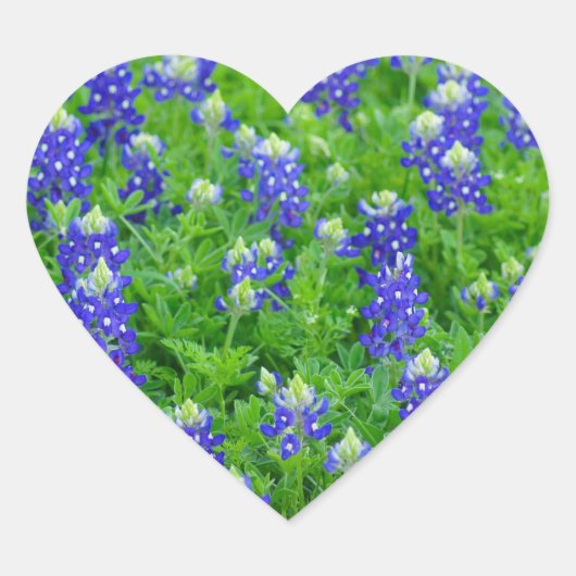 Bluebonnet Field Hart Sticker (Voorkant)