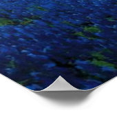 Bluebonnet Field, Julian Onderdonk schilderij Poster (Hoek)