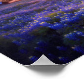 Bluebonnet Field op Sunset met Old Barn en Tree Poster (Hoek)