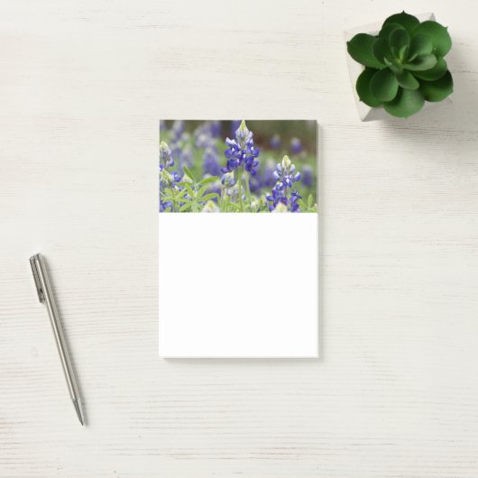 Bluebonnet Field Post to Notes (Kantoor)