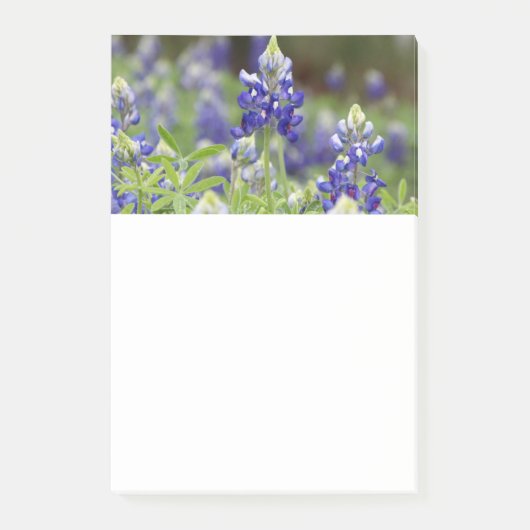 Bluebonnet Field Post to Notes (Voorkant)