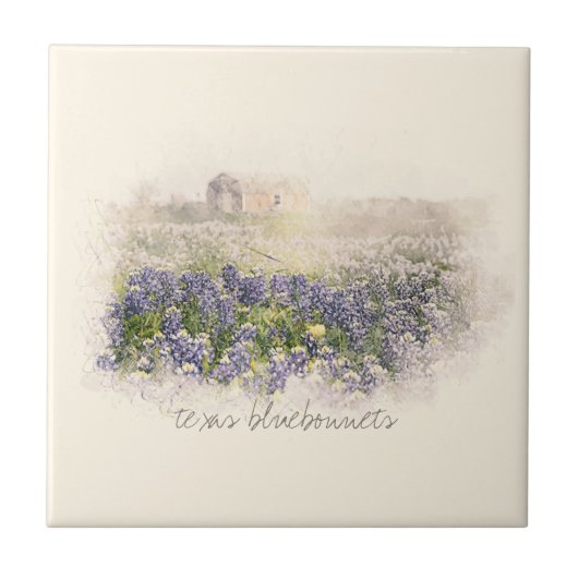 Bluebonnet Field Sketting Waterverf Tegeltje (Voorkant)