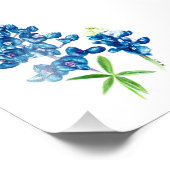 Bluebonnet Foto Afdruk (Hoek)