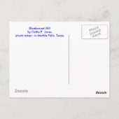 Bluebonnet Hill Briefkaart (Achterkant)