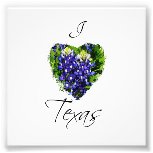 Bluebonnet "I hart Texas" Square Fotografie Afdruk (Voorkant)