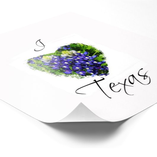 Bluebonnet "I hart Texas" Square Fotografie Afdruk (Hoek)