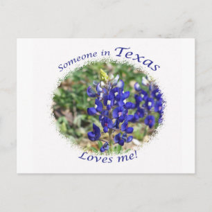 Bluebonnet "Iemand in Texas houdt van me" Briefkaa Briefkaart