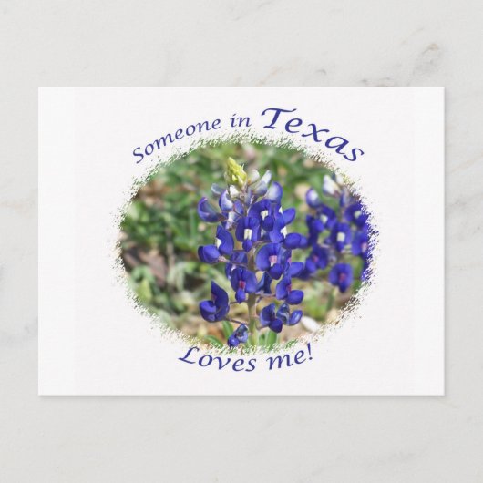 Bluebonnet "Iemand in Texas houdt van me" Briefkaa Briefkaart (Voorkant)
