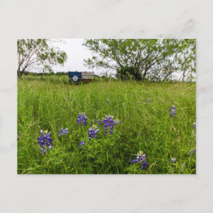 Bluebonnet Park, Ennis, Texas Briefkaart