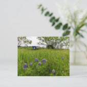 Bluebonnet Park, Ennis, Texas Briefkaart (Staand voorkant)