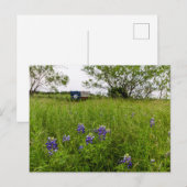 Bluebonnet Park, Ennis, Texas Briefkaart (Voorkant / Achterkant)