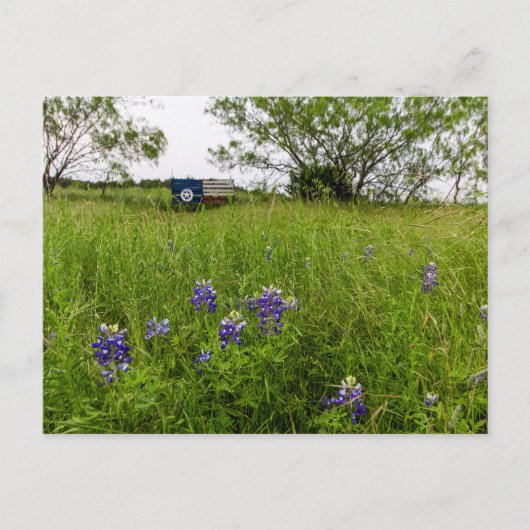 Bluebonnet Park, Ennis, Texas Briefkaart (Voorkant)