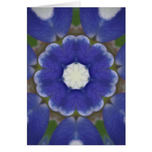 Bluebonnet Petal Kaleidoscope (Voorkant)