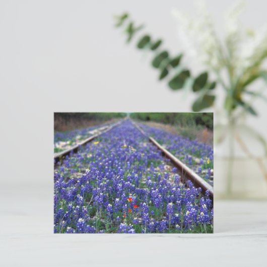 Bluebonnet Railroad Briefkaart (Staand voorkant)
