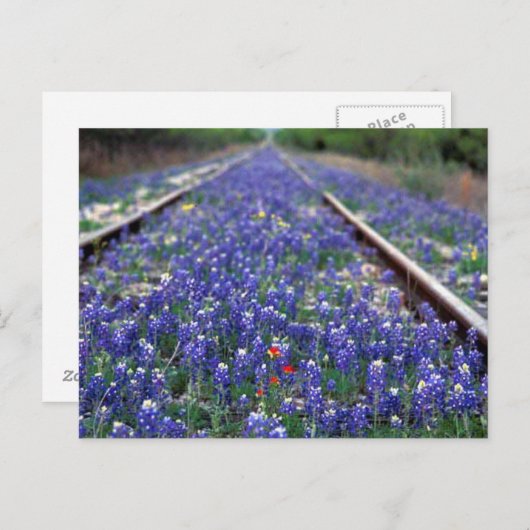 Bluebonnet Railroad Briefkaart (Voorkant / Achterkant)