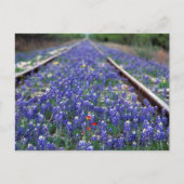 Bluebonnet Railroad Briefkaart (Voorkant)