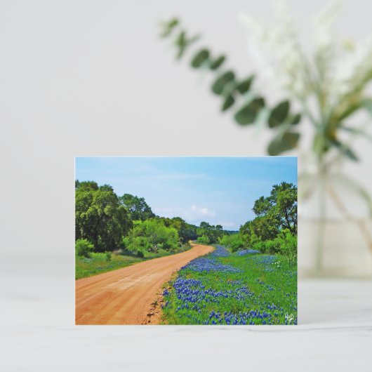 Bluebonnet Road, Willow City Loop, TX Briefkaart (Staand voorkant)