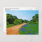 Bluebonnet Road, Willow City Loop, TX Briefkaart (Voorkant / Achterkant)