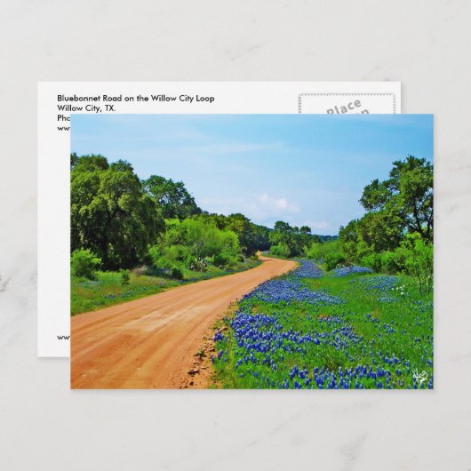 Bluebonnet Road, Willow City Loop, TX Briefkaart (Voorkant / Achterkant)