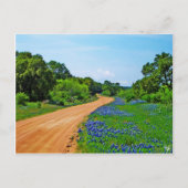 Bluebonnet Road, Willow City Loop, TX Briefkaart (Voorkant)