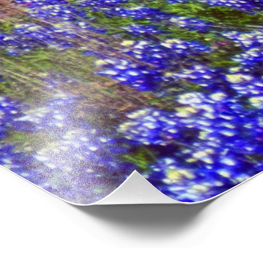 Bluebonnet Rock #2 Foto Afdruk (Hoek)