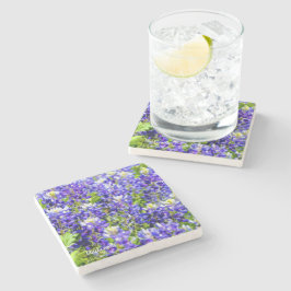 Bluebonnet stenen onderzetters