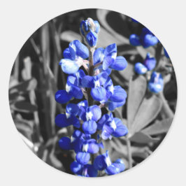 Bluebonnet-Sticker Ronde Sticker