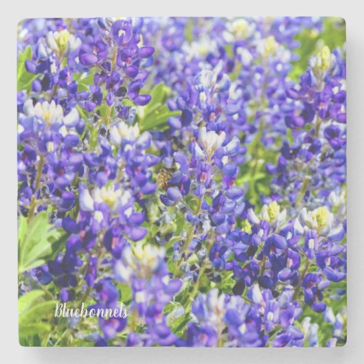 Bluebonnet Stone Onderzetters (Voorkant)