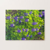 Bluebonnet Texas Flower Schilderachtig Floral foto Legpuzzel (Horizontaal)