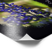 Bluebonnet "Texas, het huis van mijn hart" print Foto Afdruk (Hoek)