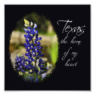 Bluebonnet "Texas, het huis van mijn hart" print Foto Afdruk