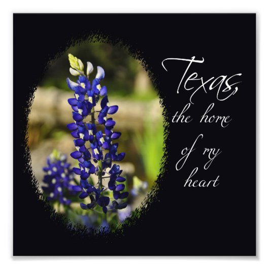 Bluebonnet "Texas, het huis van mijn hart" print Foto Afdruk (Voorkant)