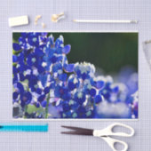 Bluebonnet Tissuepapier (Craft)