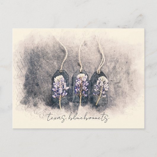 Bluebonnet Trio Sketched Waterverf Briefkaart (Voorkant)