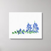 Bluebonnet Wild Flowers, Texas Flowers Canvas Afdruk (Voorkant)