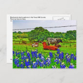 Bluebonnets and Longhorns, Texas Hill Country Briefkaart (Voorkant / Achterkant)