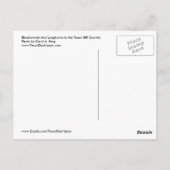 Bluebonnets and Longhorns, Texas Hill Country Briefkaart (Achterkant)