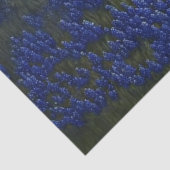 Bluebonnets and Old Barn in Texas Decoupage Tissuepapier (Detail)