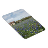 Bluebonnets Beroemd Texas House Magneet (Rechterzijde)