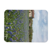 Bluebonnets Beroemd Texas House Magneet (Horizontaal)