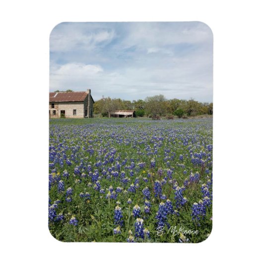 Bluebonnets Beroemd Texas House Magneet (Verticaal)