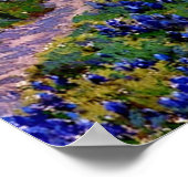 Bluebonnets bij schemering, ten noorden van San An Poster (Hoek)