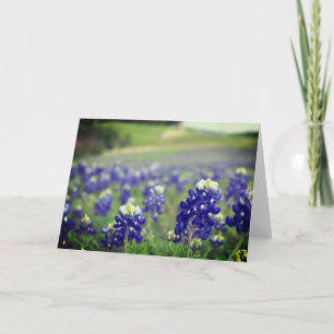 Bluebonnets Blauwe Bloemen Texas Texaanse Bloemen Bedankkaart