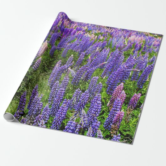Bluebonnets Blue Floral Texas Texan Elegant Cadeaupapier (Uitgerold)